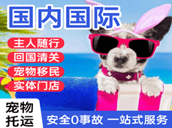 佳木斯东郊机场快运国际宠物托运 【国